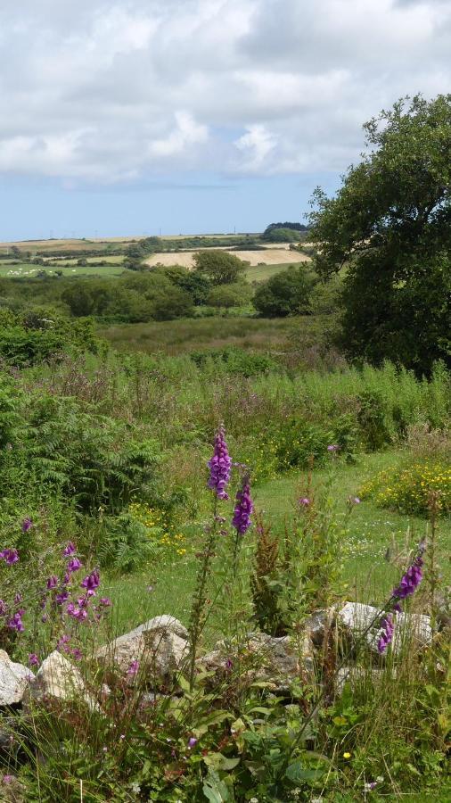 Higher Trenear Farm B&B Helston Eksteriør bilde